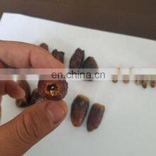 Automatic Dates Pitter Machine/Date Pitting Processing Machine/Date Seed Removing Machine thumbnail-2