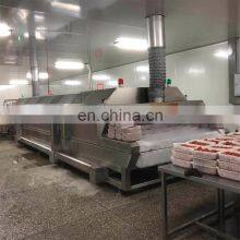 Industrial Liquid Nitrogen Tunnel Freezer for Food Store thumbnail-5