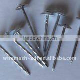 Umbrella Head Roofing Nails