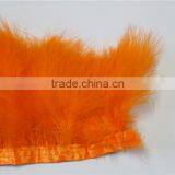 Wholesale Trim Turkey Feather For Halloween Clothing Decoration thumbnail-4
