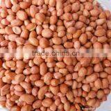 Ju'nan Country Best Quality Blanched Peanut 24/28 Size 25kg/ctn for Sale thumbnail-2