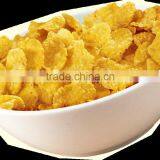 Corn Flakes Manufacturing Plant thumbnail-4