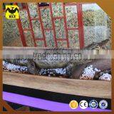 HLT Simulation Animatronic Animal Model Of Crocodile For Park Or Playground thumbnail-4