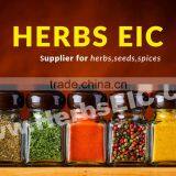 The Egyptian International Center For Export company overview - view 3 thumbnail