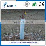 PP Material Corflute Tree Guard