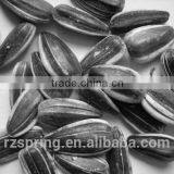BLACK SUNFLOWER SEEDS thumbnail-2