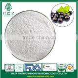Wholesale Supplier Pure Black Currant Seed Oil Powder thumbnail-1