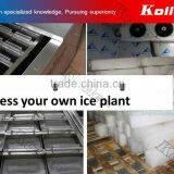 Koller Contanierized Ice Block Maker and Cold Room Assemble in 40 GP Container