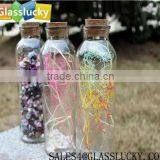 100ml Colorful Reed Glass Diffuser Bottles With Tampion