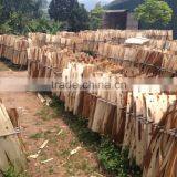 wood core veneer eucalyptus/acacia from vietnam