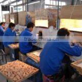 Shanghai Huasheng Plastic & Produces Co., Ltd. company overview - view 2 thumbnail