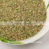XingJiang Organic Fennel Seed thumbnail-1