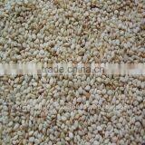 Hulled sesame seeds