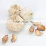 Hot Sale 2016 Fresh Chinese Normal White Garlic thumbnail-2