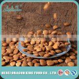 100% Nature Apricot Kernel Seeds thumbnail-1