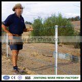Military Barbed Wire Electro Galvanzied Barbed Wire Barbed Wire Fence Crimp thumbnail-6