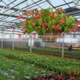 Flower Growing Greenhouse thumbnail-1
