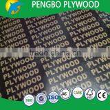 20mm Black Film Faced Plywood thumbnail-6