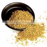 Yellow Mustard Seeds thumbnail-1