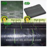 Black and Green Line pe Weedmat thumbnail-1