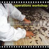 Pet Food Dried Locusts thumbnail-4