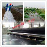 Black Smooth Surface Geomembrane for Pond Liner thumbnail-4