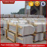 2cm Bush Hammered China Capao Bonito Granite 60x60 thumbnail-6
