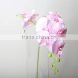 Two Branches Decorative Butterfly Orchid Artificial Butterfly Orchid Flowers Landscaping Flowers thumbnail-5