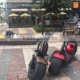 2017 2 Wheel Self Balancing Electric Hoverboard Citycoco Scooter thumbnail-2