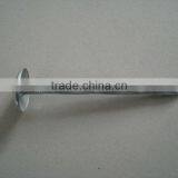 Square Shank Roofing Nail thumbnail-1