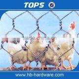 Hebei Factory Supply Fine Hexagonal Wire Netting/Gabion Slope Protection Netting/Cabion Wire Roll(Manufacturer) thumbnail-1