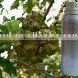 Star Aniseed Oil - Fragrance Oil thumbnail-2