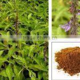 Coleus Forskohlii Extract thumbnail-1