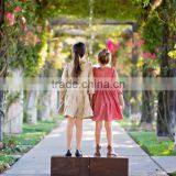 Simple Lovely 2017 Baby Girl Party Dress Children Frocks Designs Linen Dress Baby Girl Clothes thumbnail-4