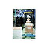 Conveyor and Wrapper System