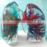 High Accuracy Human 3D Organ Figure Color 3D Printing Organ Model WJP 3D Printing