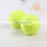 Dog chew toy tennis biting resistant pet toy outdoor play bouncy ball pet happy interactive toys