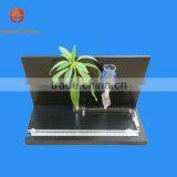 Plant's Transpiration Experiment