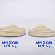 Alkaline Protease CAS：9014-01-1 Bacillus Subtilis Protease Food Grade thumbnail-2