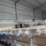 Southern Top Investment Company Limited company overview - view 3 thumbnail