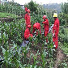 Oil and Gas Fracking Water Transfer Hose Layflat Water Hose thumbnail-4