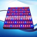 High Power ip 65 Light Bulbs for Plants