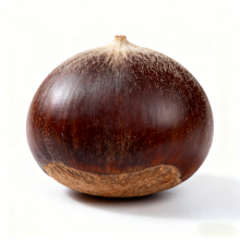 Fresh Shan Dong Chestnut thumbnail-5