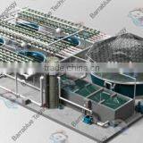 RAS/hydroponics Growing System/Fish Farm and Hydroponic Greenhouse System thumbnail-1