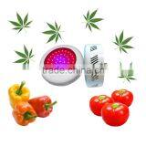 Sunlight Greenhouse LED Lighting 135 Watt thumbnail-3