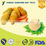 SunShine Health Food of Papaya Fruit / Powder for Skin Whitener & Body Lotion high purity