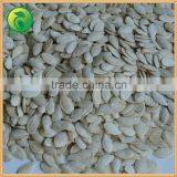 New 2016 Pumpkin Seed Pumpkin Seed ,10mm 11mm 12mm thumbnail-2