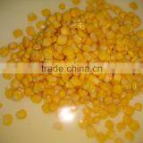 Fresh Corn for Sale Canned Sweet Corn Factory thumbnail-1