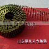 Screw Shank Wire Weld Coil Nails thumbnail-1