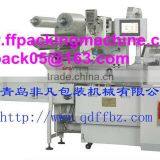 Reciprocating Packing Machine